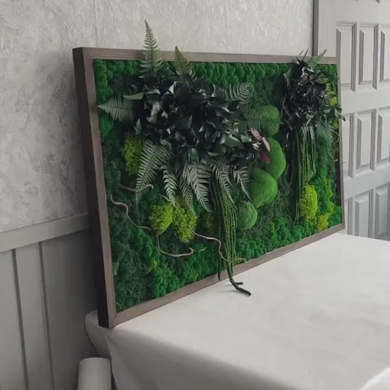 Forest Symphony Wall Art Mixed Preserved Mosses, Ferns, Amaranthus, Twisted Branches, Eucalyptus | CAREFREE & VARIOUS-SIZE