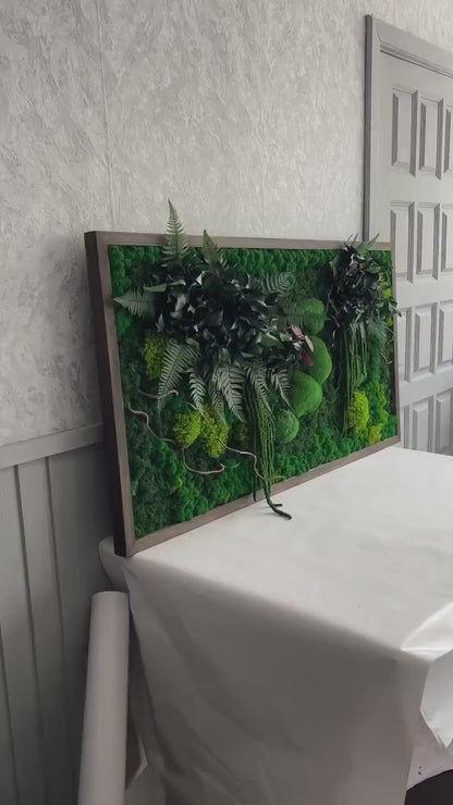 Forest Symphony Wall Art Mixed Preserved Mosses, Ferns, Amaranthus, Twisted Branches, Eucalyptus | CAREFREE & VARIOUS-SIZE