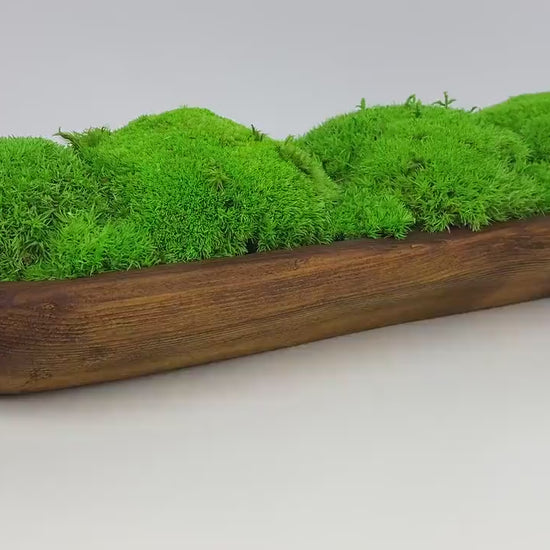 Handcrafted Preserved Moss Bowl | Unique Natural Centerpiece for Table Decor | Eco-Friendly Rustic Dough Bowl CAREFREE | VARIOUS-SIZE