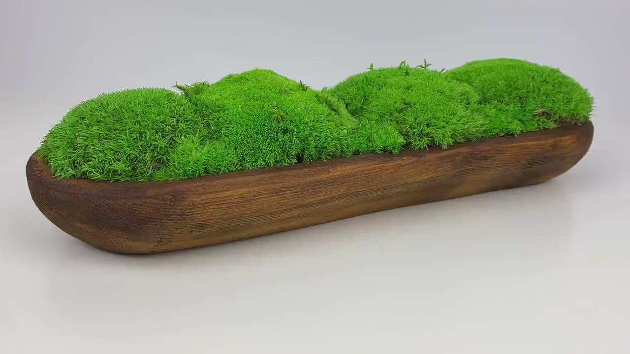 Handcrafted Preserved Moss Bowl | Unique Natural Centerpiece for Table Decor | Eco-Friendly Rustic Dough Bowl CAREFREE | VARIOUS-SIZE