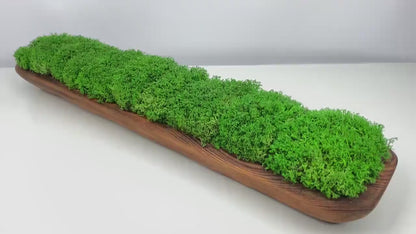 Rustic Dough Bowl Preserved Reindeer Moss, Wedding Table Shelf Decor Centerpiece, Long Bowl CAREFREE | VARIOUS-SIZE