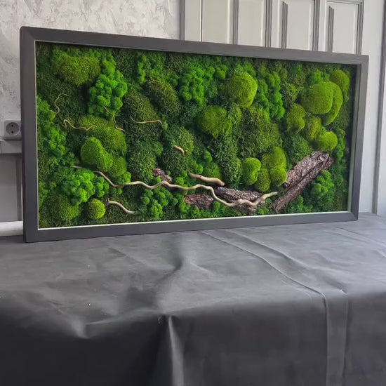 Illuminated Nature: Moss, Bark & Branch Wall Art with LED Backlighting | Eco-Friendly, Handmade Botanical Decor