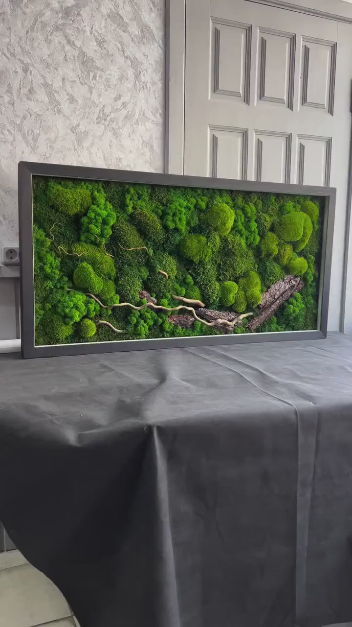 Illuminated Nature: Moss, Bark & Branch Wall Art with LED Backlighting | Eco-Friendly, Handmade Botanical Decor