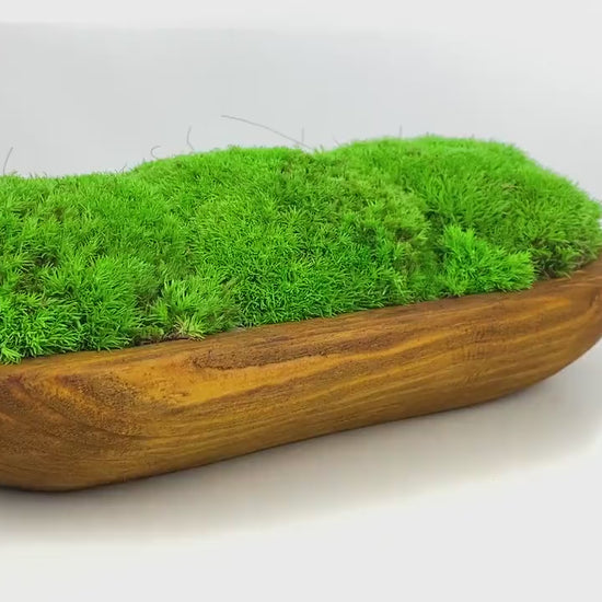 Rustic Moss Centerpiece Bowl | Hand-Carved Preserved Moss Table Decor | Unique Natural Dough Bowl, CAREFREE | VARIOUS-SIZE