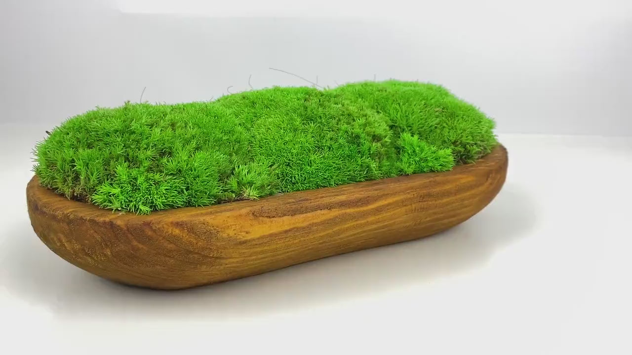 Rustic Moss Centerpiece Bowl | Hand-Carved Preserved Moss Table Decor | Unique Natural Dough Bowl, CAREFREE | VARIOUS-SIZE