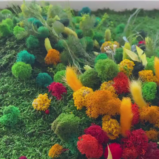 Rainbow Flowered Preserved Moss Wall Art | CAREFREE & VARIOUS-SIZE