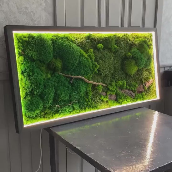 Illuminated Preserved Moss Wall Art with LED Lighting, Eco-Friendly Nature-Inspired Decor, Custom Wood & Moss Art, Unique Botanical Gift