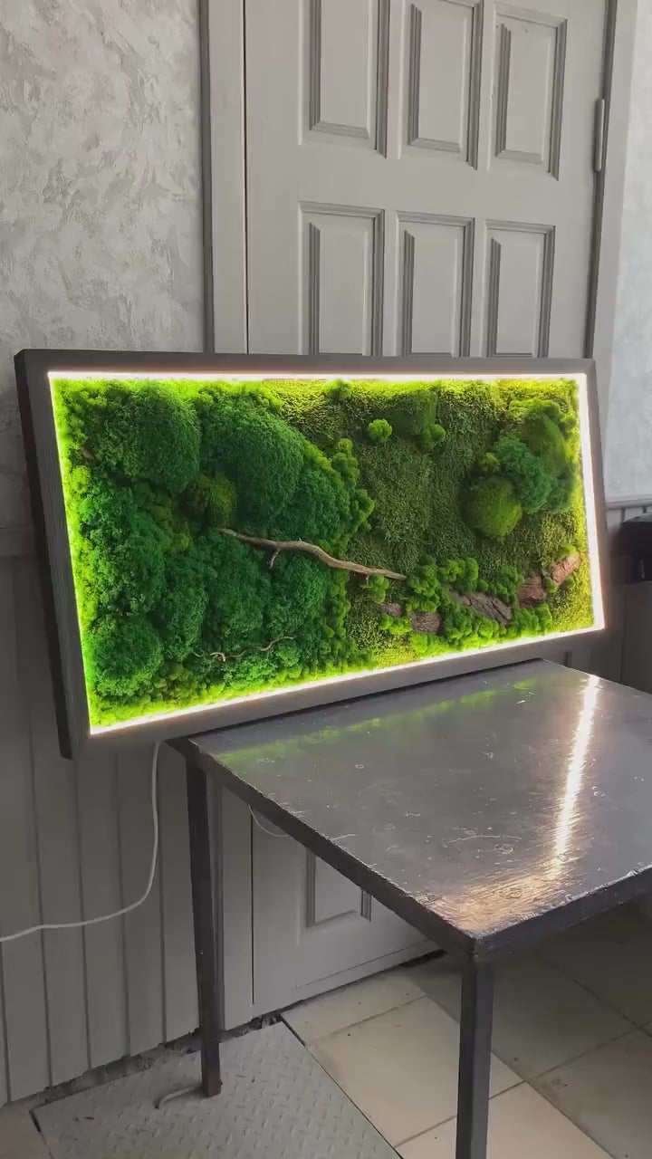 Illuminated Preserved Moss Wall Art with LED Lighting, Eco-Friendly Nature-Inspired Decor, Custom Wood & Moss Art, Unique Botanical Gift