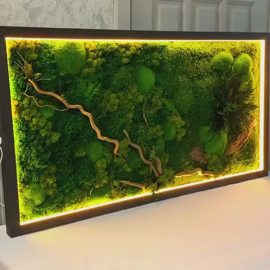 Warm LED-Lit Preserved Moss Wall Art Fern Leaves, Bark & Tiki Grass, Eco-Friendly Natural Decor, Custom Botanical Art, Unique Gift