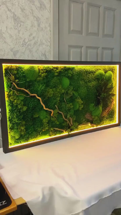 Warm LED-Lit Preserved Moss Wall Art Fern Leaves, Bark & Tiki Grass, Eco-Friendly Natural Decor, Custom Botanical Art, Unique Gift