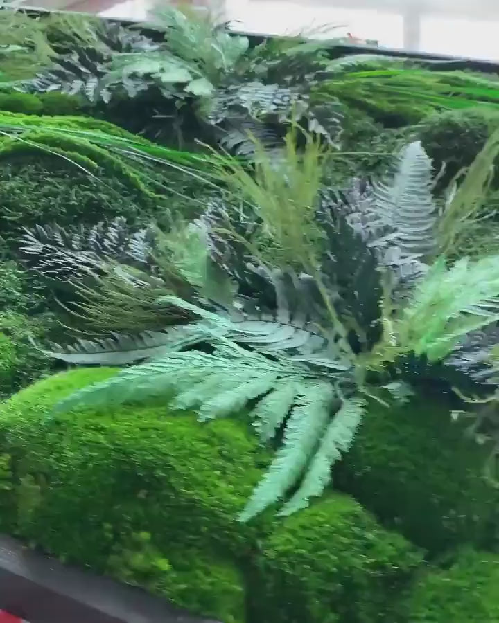 Lush Moss Art with Ferns & Amaranth, Tiki Grasses - Preserved Moss Wall Decor | Unique Eco-Friendly Art | Custom Sizes Available