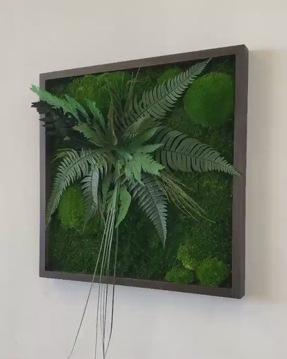Moss Wall Art, Square Preserved Moss Grasses & Fern Art with Eucalyptus, Nature-Inspired Wall Decor, Custom Botanical Artwork